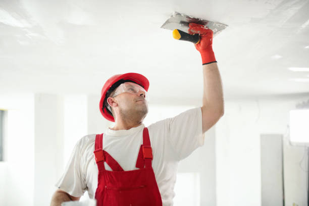 Best Ceiling Drywall Installation  in Aptos Hills Larkin Valley, CA